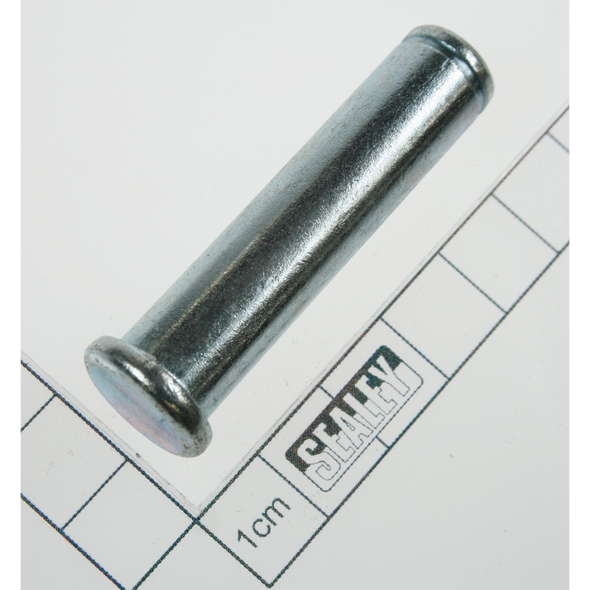 Sealey Pin (1)