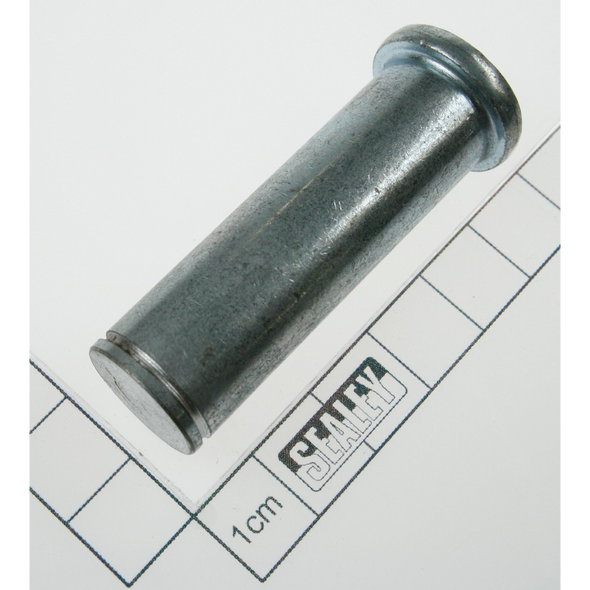 Sealey Pin (1)