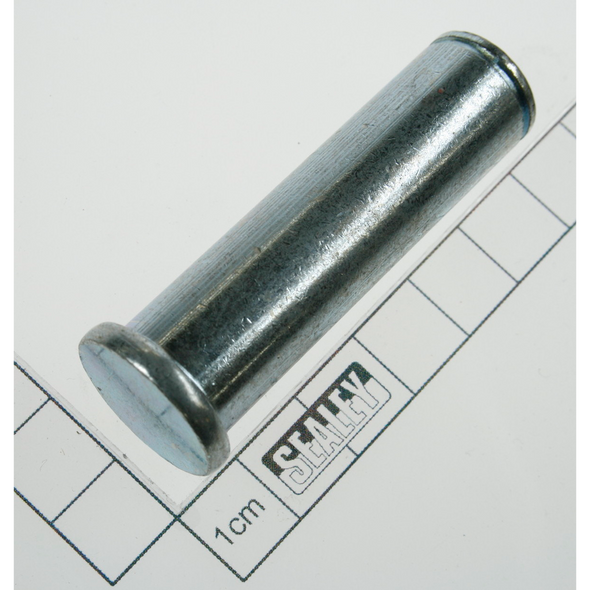 Sealey Pin (2) (so)