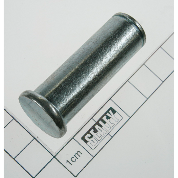Sealey Pin (3)