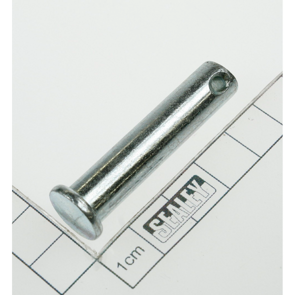 Sealey Pin (4)