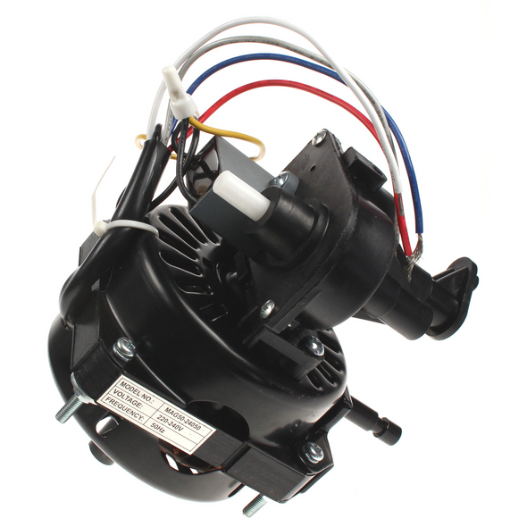 Sealey Motor only