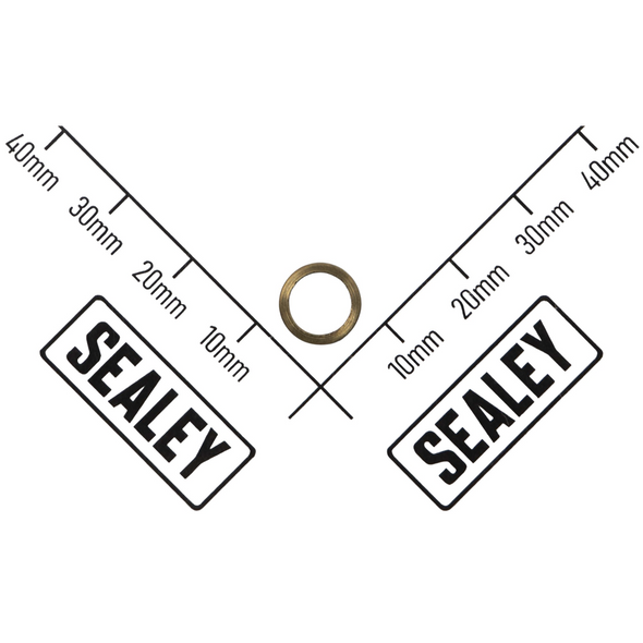 Sealey Air Valve Gasket