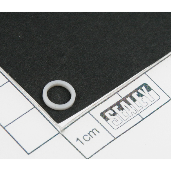 Sealey Air valve gasket