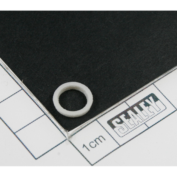 Sealey Air valve gasket