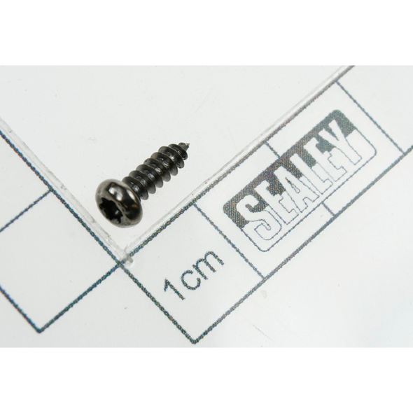 Sealey Rd head s/t screw(security)m3x10