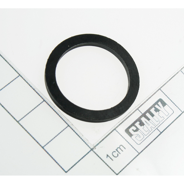 Sealey Hinge seal ring