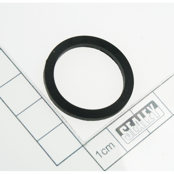 Sealey Hinge seal
