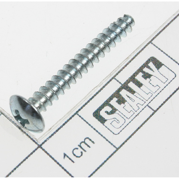 Sealey Rd head s/t screw m3.8 x 28