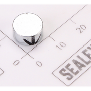 Sealey Magnet 10x6