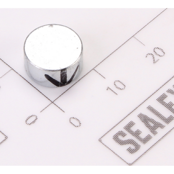 Sealey Magnet 10x6