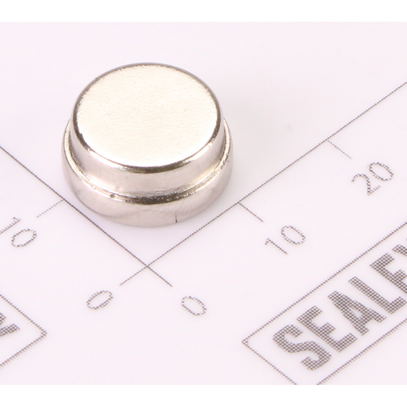Sealey Magnet (B)