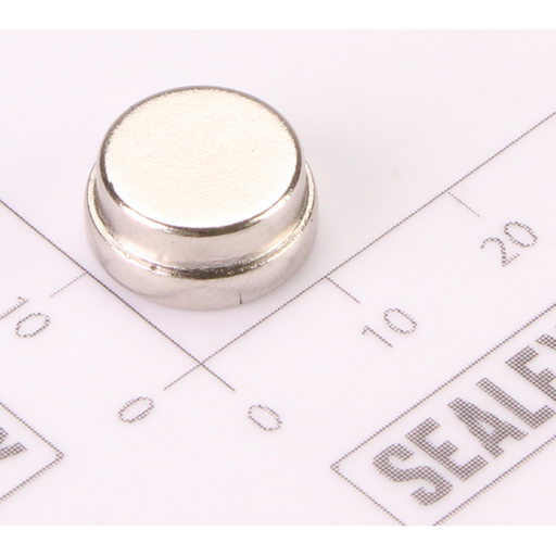 Sealey Magnet (B)