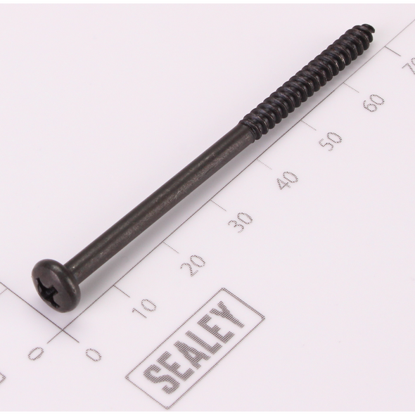 Sealey Screw Pan Head M4x65mm