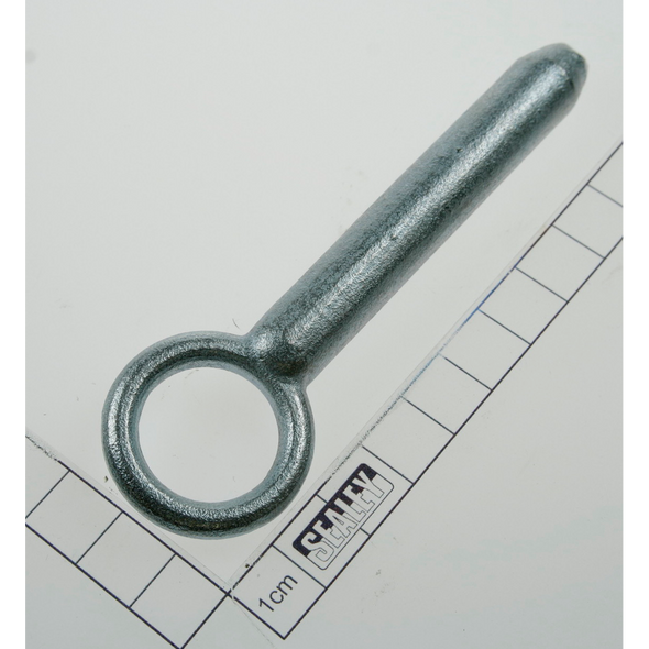 Sealey Pin (lsa)