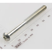 Sealey Machine screw pan head phillips m6x55mm (single)