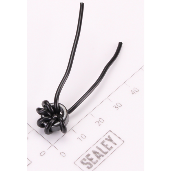 Sealey Inductor (Short)