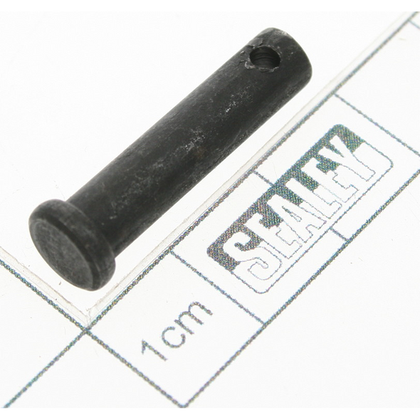 Sealey Pin