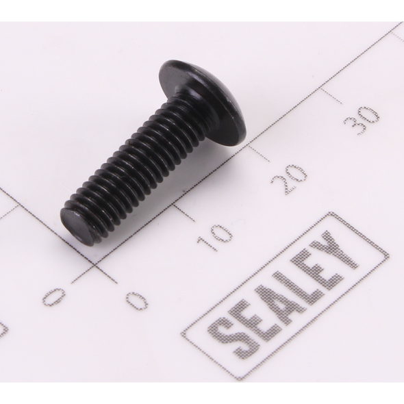 Sealey Screw Pan Head M24x1.4-8