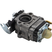 Sealey Carburetor