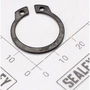 Sealey Seeger ring