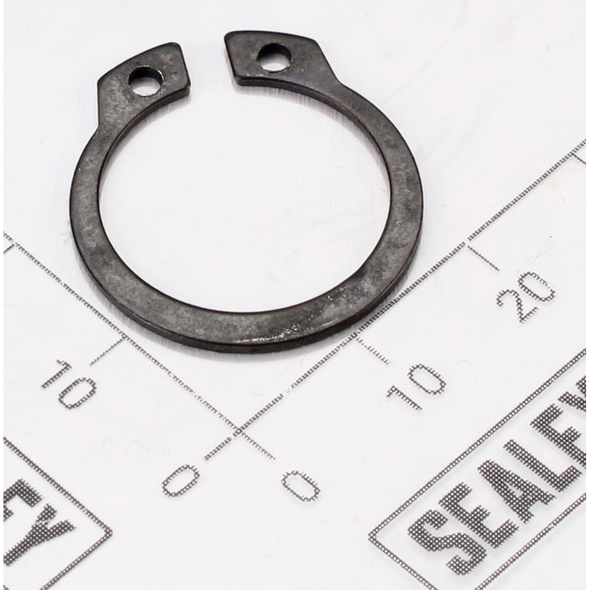 Sealey Seeger ring