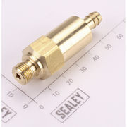 Sealey Security Valve
