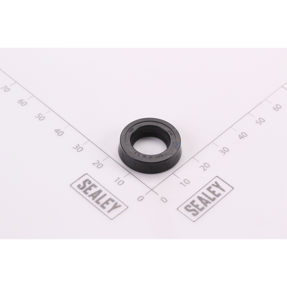 Sealey Y-Seal 20 x 12