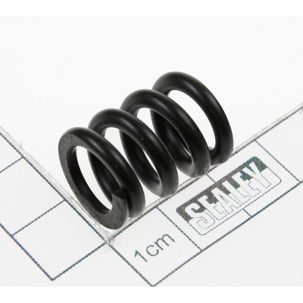 Sealey Punch spring