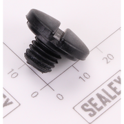 Sealey Plastic Screw M10x8