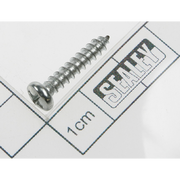 Sealey Rd head s/t screw m3.9 x 16