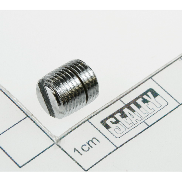 Sealey Airproof screw
