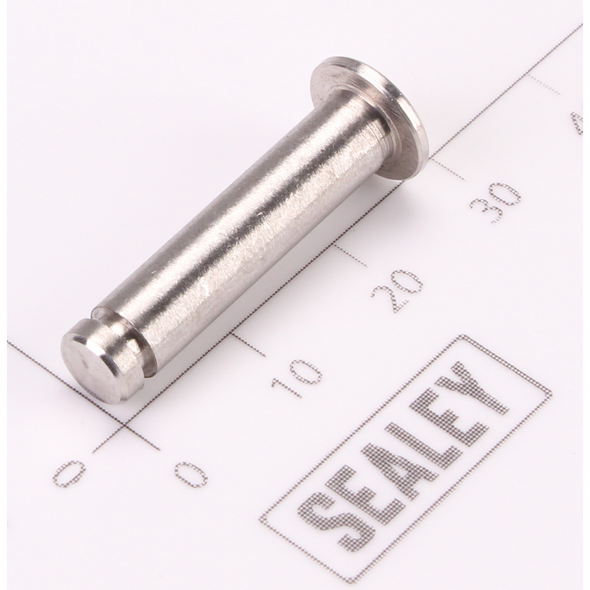 Sealey Trigger Pin (B)