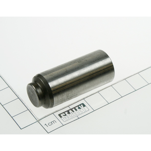Sealey Piston (so)