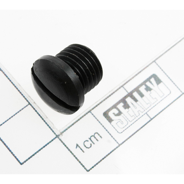 Sealey Air regulator