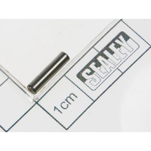 Sealey Planet pin