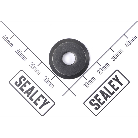 Sealey Bevelled Disc