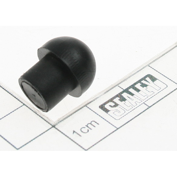 Sealey Plug