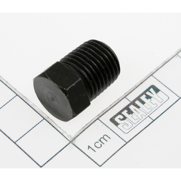 Sealey Valve plug