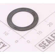 Sealey Reset Spring Washer