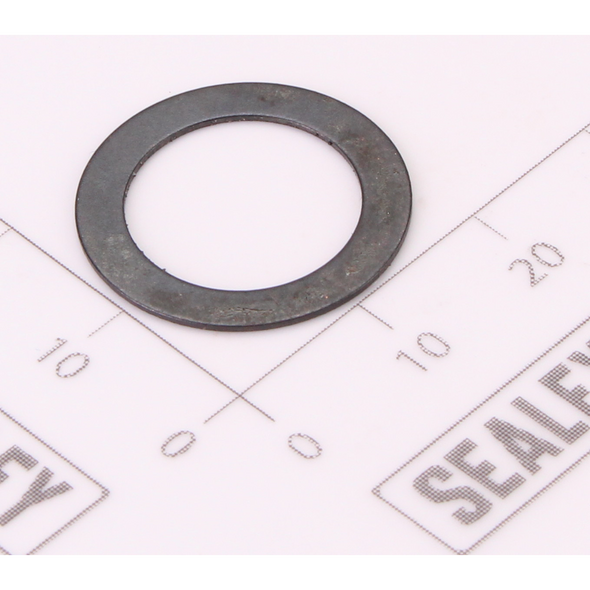 Sealey Reset Spring Washer