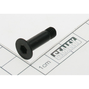 Sealey Screw