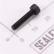 Sealey Screw