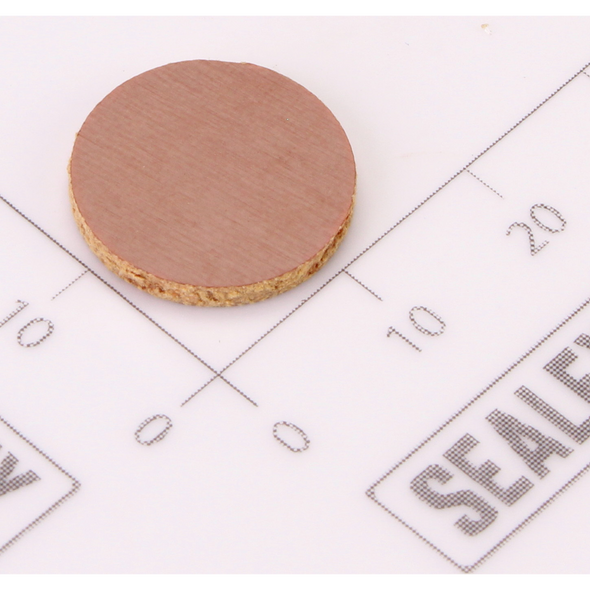 Sealey Valve disc