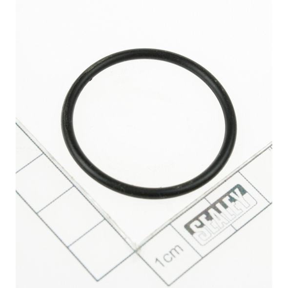Sealey O-ring