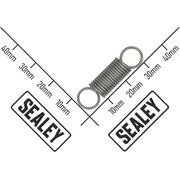 Sealey Locking pawl spring