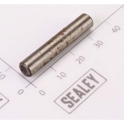 Sealey Hammer Cage Pin