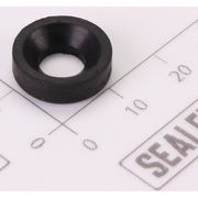 Sealey Bushing