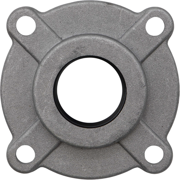 Sealey End Cover for Crankcase (B)