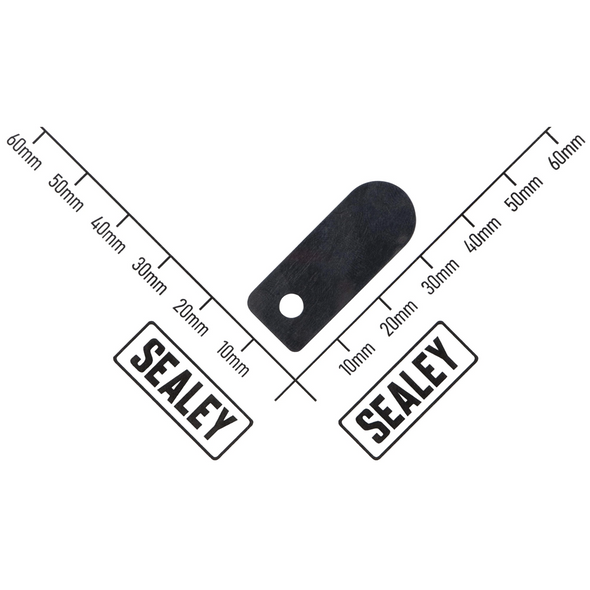 Sealey Valve Reed